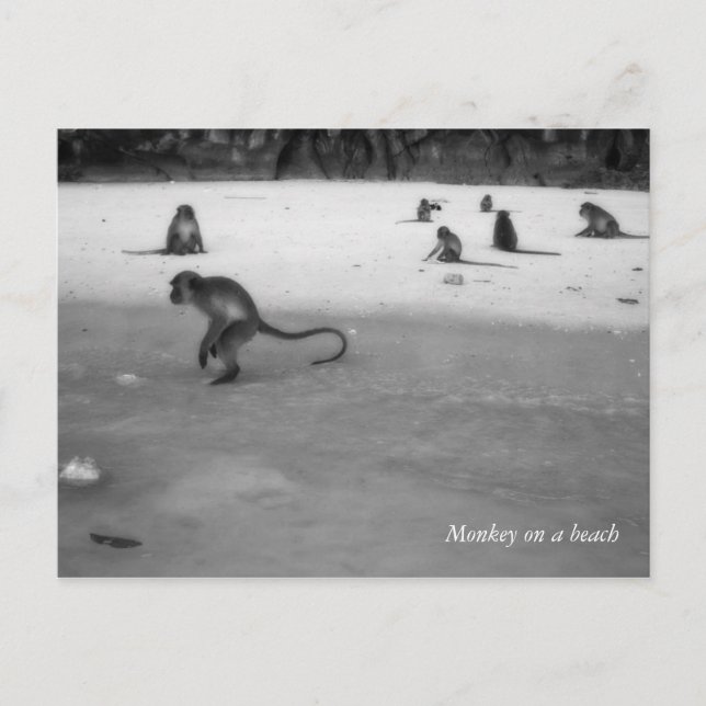 Bas Vykort (Framsida)