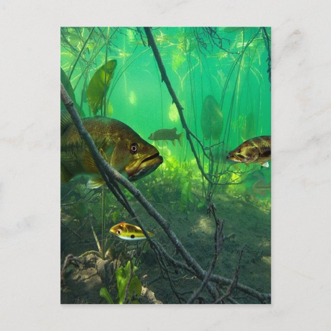 Bas Vykort (Framsida)