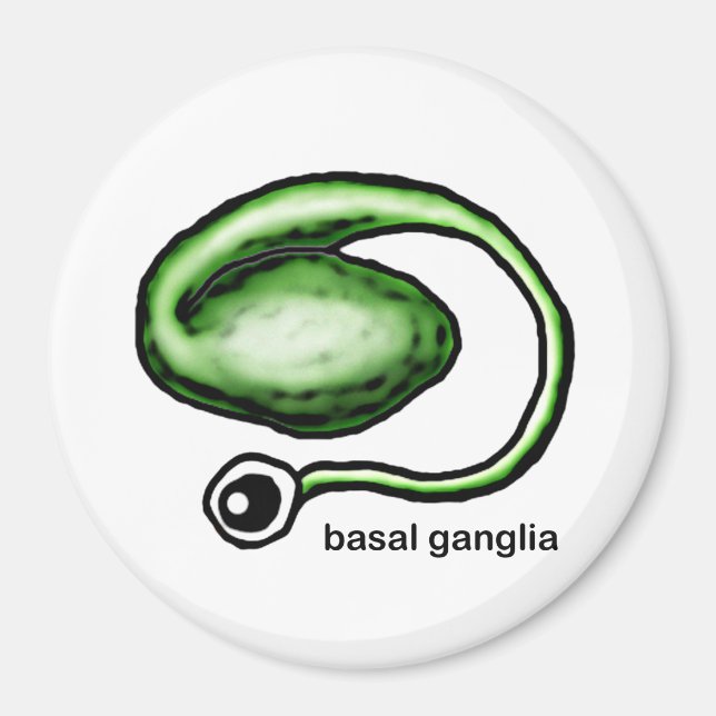 Basal Ganglia Magnet (Framsidan)