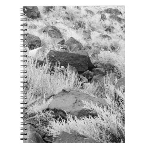 Basalt Lava Sten i Desert, Black and White Photo Anteckningsbok Med Spiral