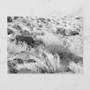 Basalt Lava Sten i Desert, Black and White Photo Vykort