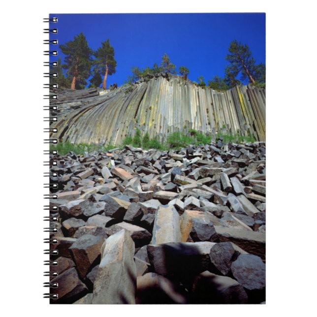 Basaltformationer av Devils Postpile Anteckningsbok Med Spiral (Framsidan)