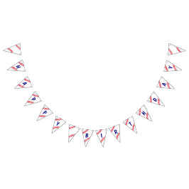 Baseball Birthday Banner Vimplar