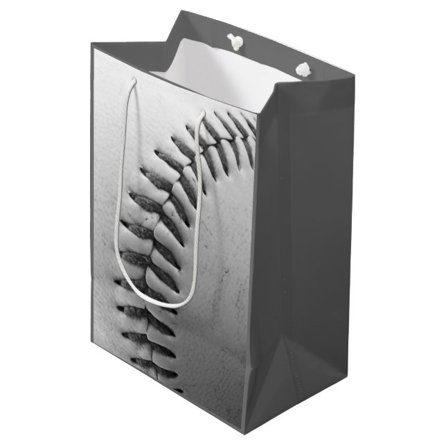 Baseball Black and White (Framsidan Vinklad)