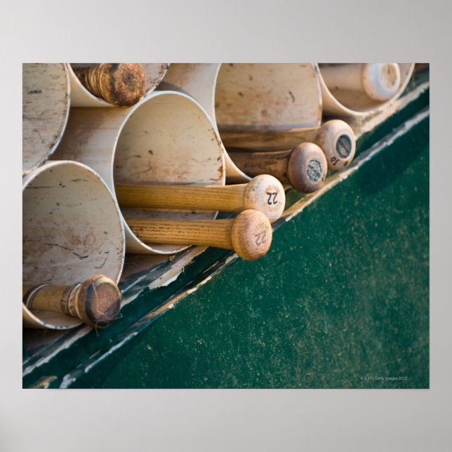 Baseball-fladdermöss i kanduen poster (Framsidan)