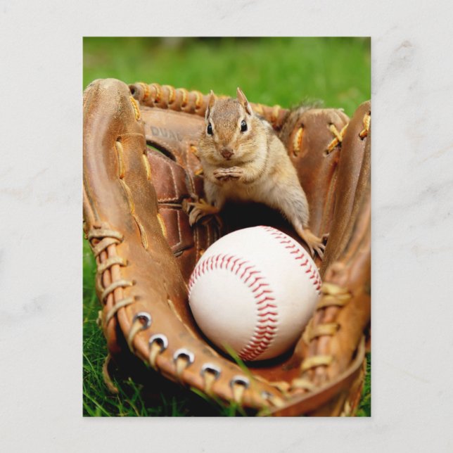 Baseball Fläkt Chipmunk Vykort (Framsida)
