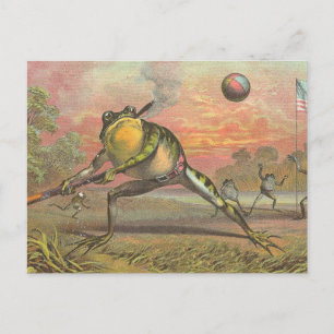 Baseball Frog Vykort