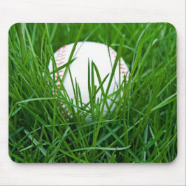 Baseball i Grass Musmatta