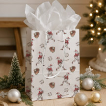 Baseball Santa