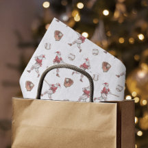 Baseball Santa