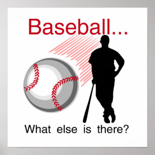 Baseball vad annat T-tröja och gåvor Poster