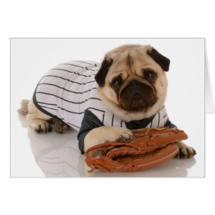 Baseballmopskort OBS Kort