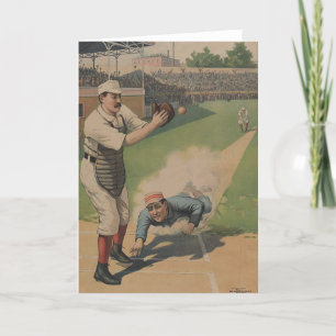 Basebollaffisch Kort