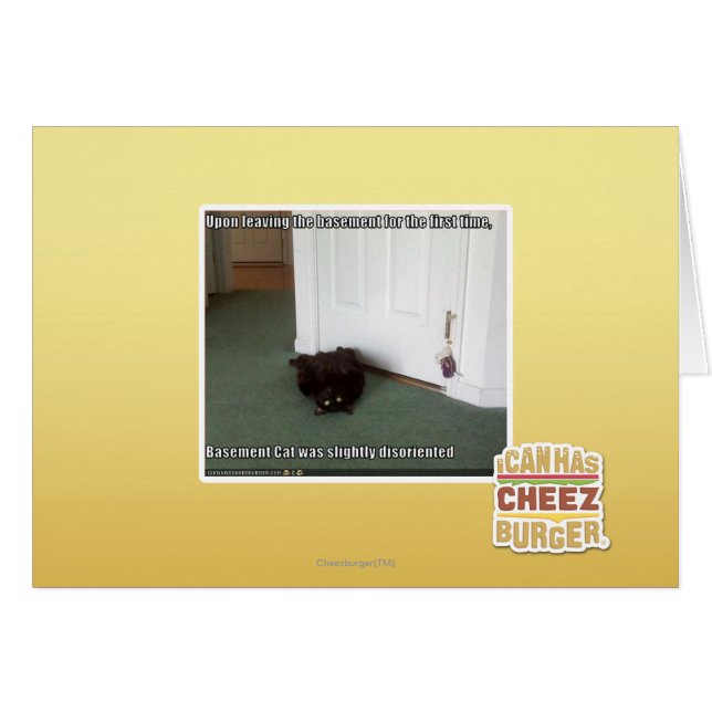 Baselkatt, något missorienterad hälsningskort (Framsidan Horizontal)