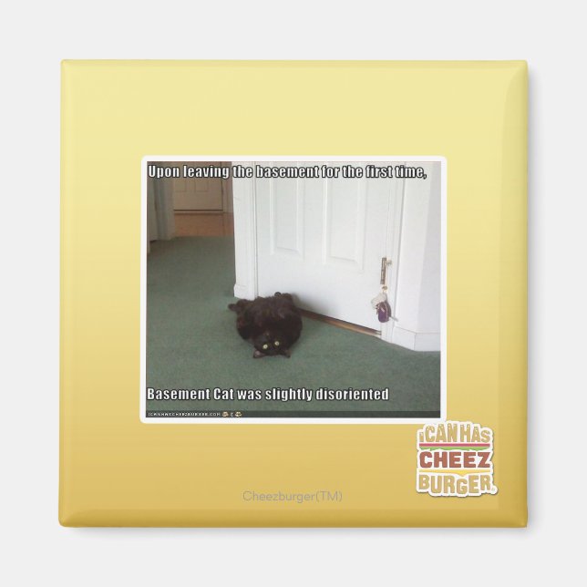 Baselkatt, något missorienterad magnet (Framsidan)