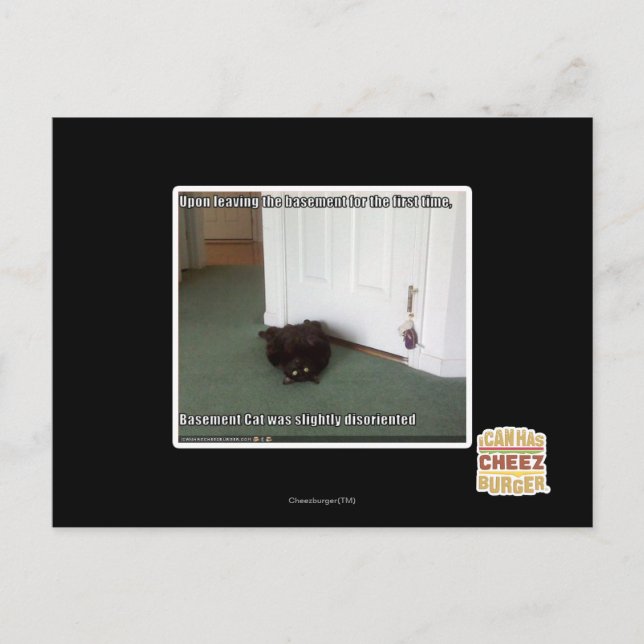 Baselkatt, något missorienterad vykort (Framsida)