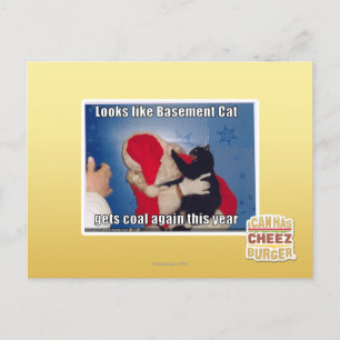 Basement Cat får kol Vykort