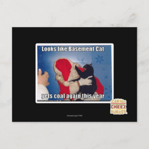 Basement Cat får kol Vykort