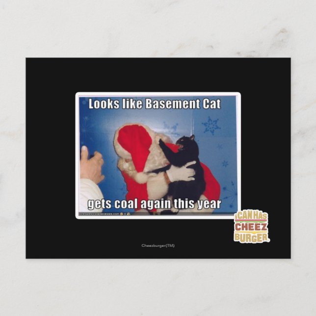 Basement Cat får kol Vykort (Framsida)