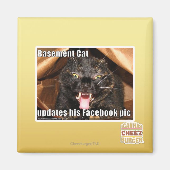 Basement Cat Magnet (Framsidan)