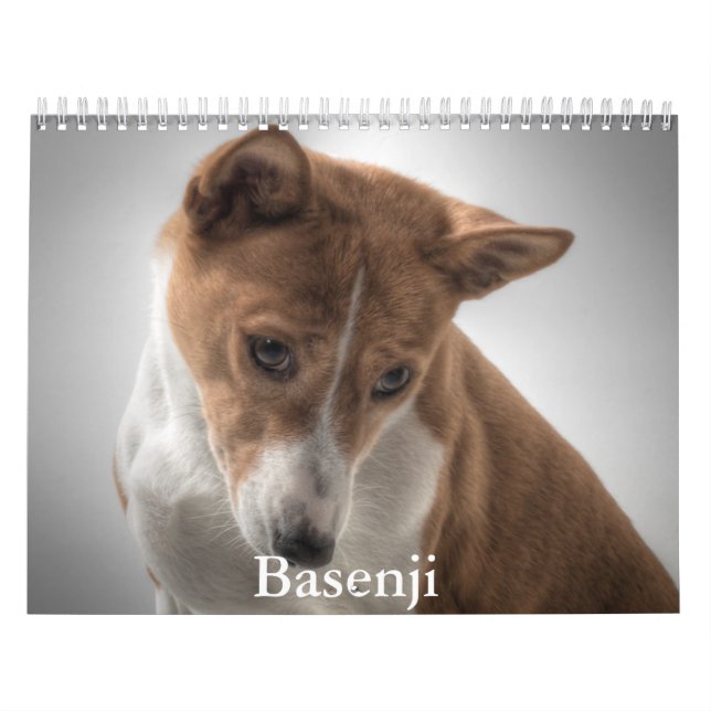 Basenji Calendar Kalender (Omslag)