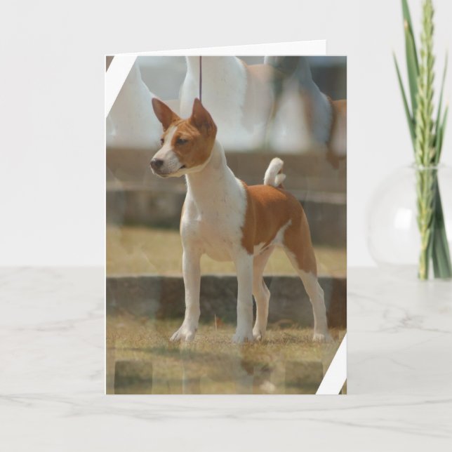 Basenji hälsningkort kort (Framsida)