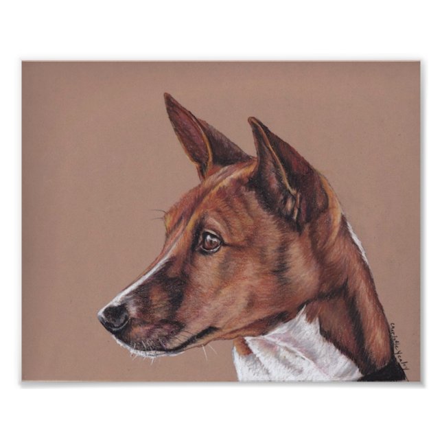 Basenji Hund Art Photo Print Fototryck (Framsidan)