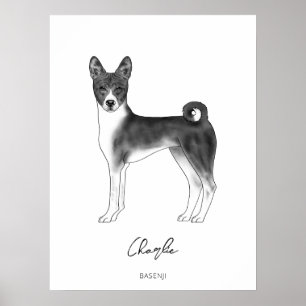 Basenji Hund i Svart och Vitt med Anpassad Text Poster