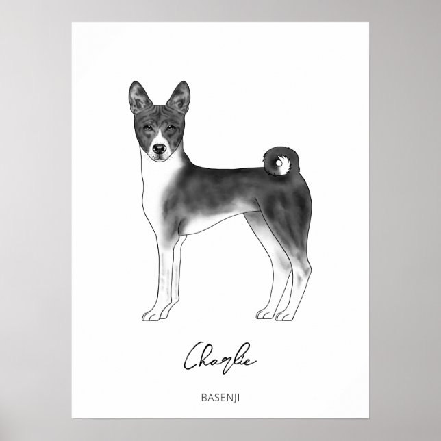 Basenji Hund i Svart och Vitt med Anpassad Text Poster (Framsidan)
