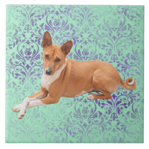 Basenji hund kakelplatta