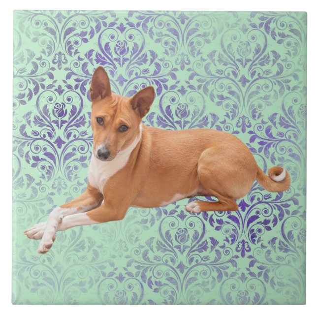 Basenji hund  kakelplatta (Framsidan)