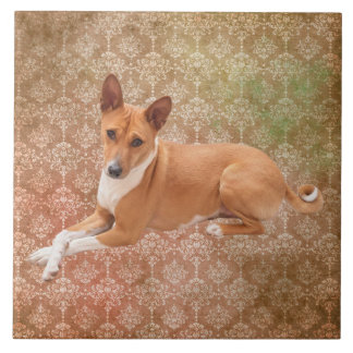 Basenji hund kakelplatta