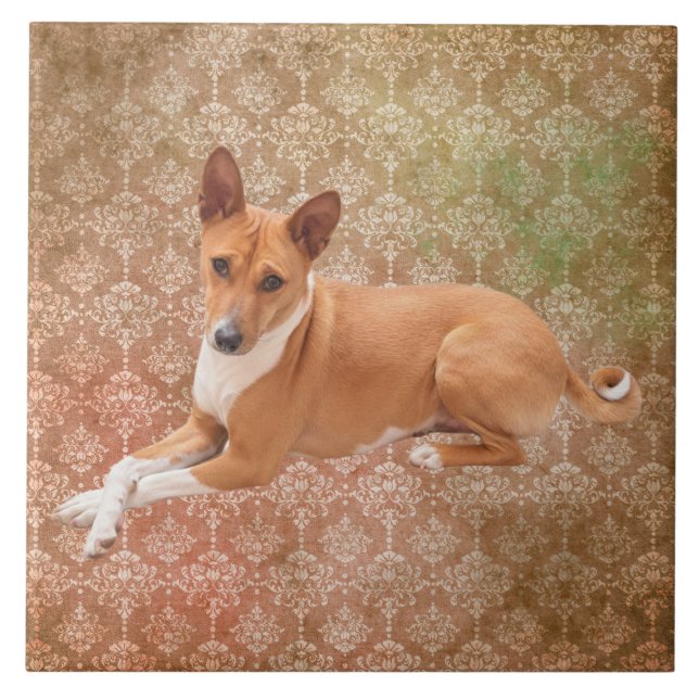 Basenji hund  kakelplatta (Framsidan)