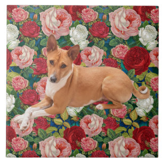 Basenji hund kakelplatta