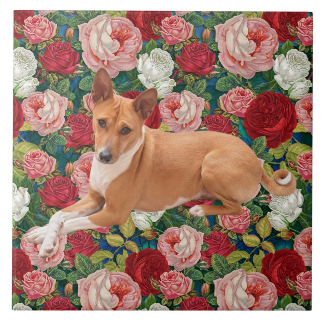 Basenji hund  kakelplatta (Framsidan)