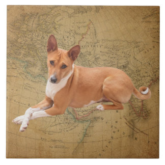 Basenji hund kakelplatta