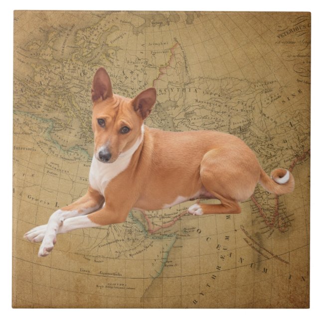 Basenji hund  kakelplatta (Framsidan)