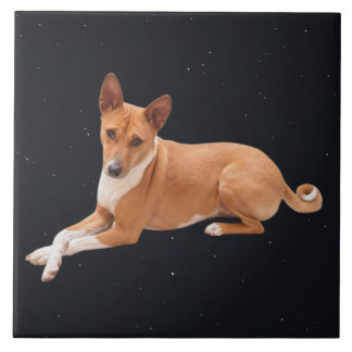 Basenji hund kakelplatta