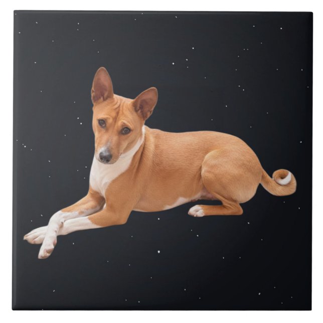 Basenji hund  kakelplatta (Framsidan)