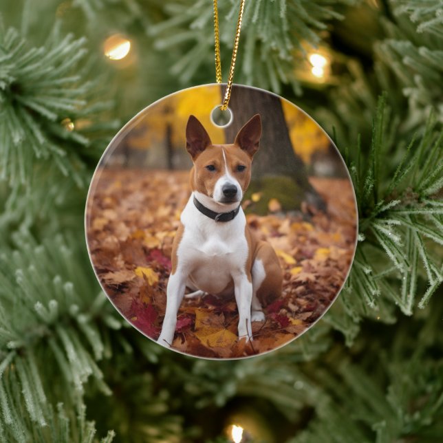 Basenji i Höst löv Fall Inspire Julgransprydnad Keramik (Träd)