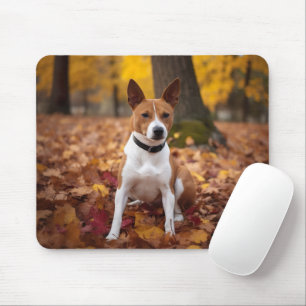 Basenji i Höst löv Fall Inspire Musmatta