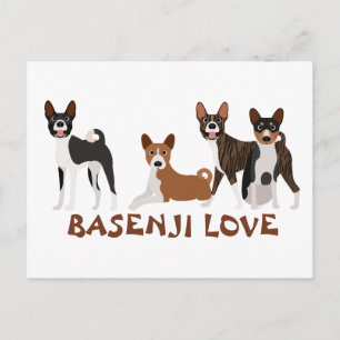 Basenji Kärlek Hund aveln Brindle Red White Black Vykort