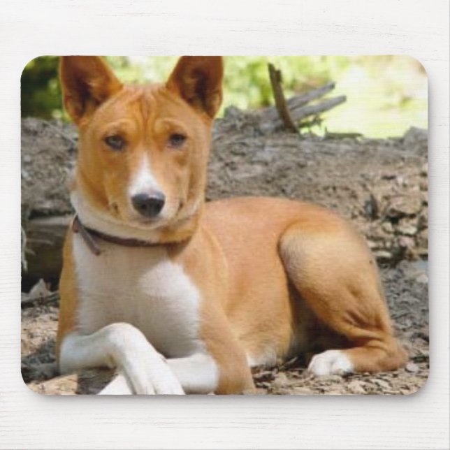 Basenji Mousepad Musmatta (Framsidan)
