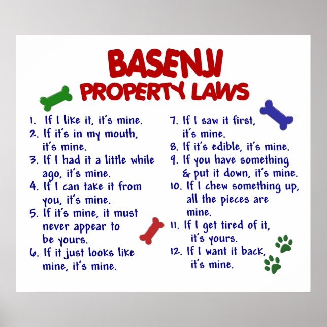 BASENJI PL2 POSTER (Framsidan)