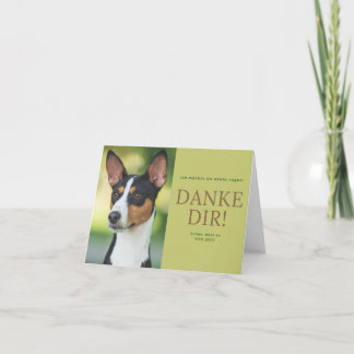 Basenji Tack Kort