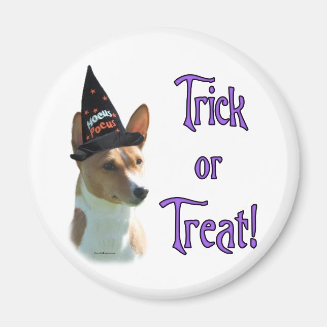 Basenji Trick Magnet (Framsidan)