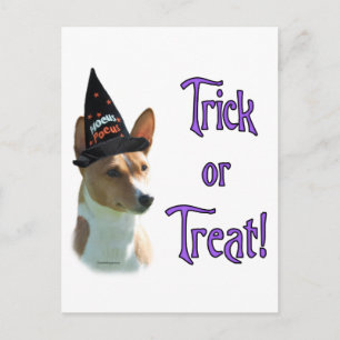 Basenji Trick Vykort