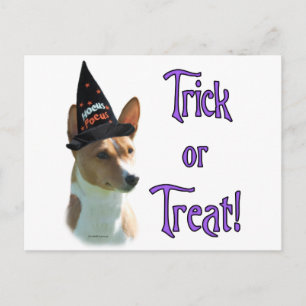 Basenji Trick Vykort