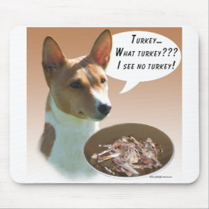 Basenji Turkiet Musmatta