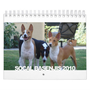 Basenjis av den Socal 2010 kalendern Kalender